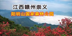 骚女被c视频